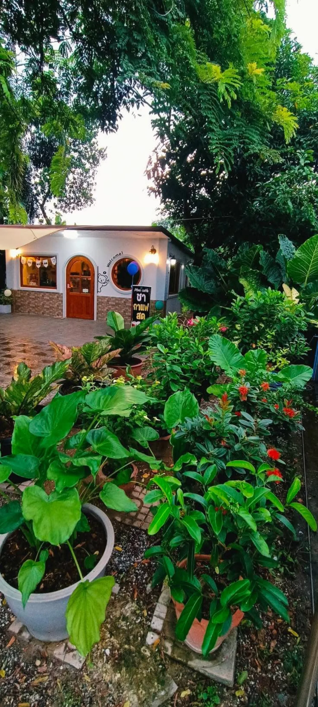 PIYA Café seen through its tropical garden